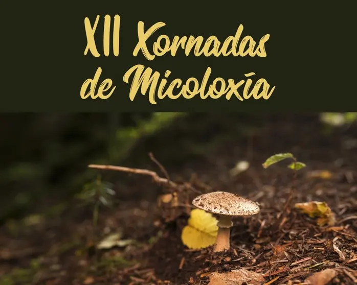 Xornadas Micoloxicas EFA Fonteboa copia