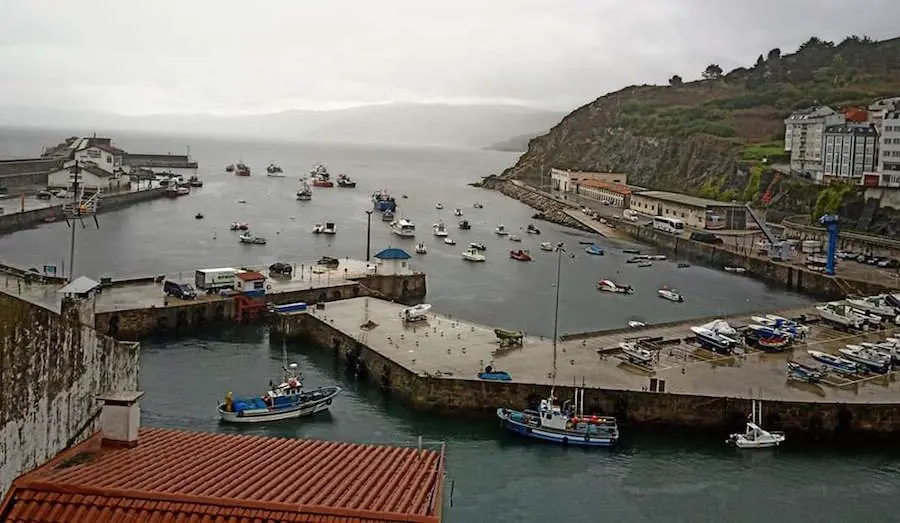 Flota amarrada en Malpica