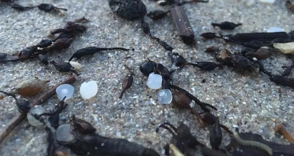 Pellets de resina atopados na praia de Soesto-Foto-Victor Mira