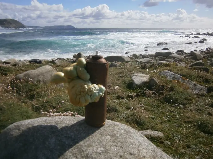 O mar devolve cada inverno unha morea de lixo.