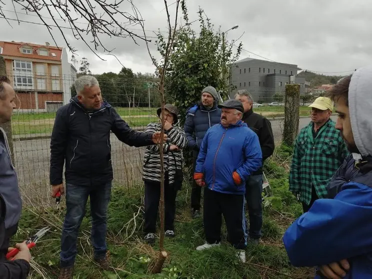 Curso de poda en Vimianzo