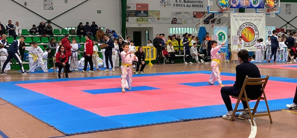 Festa do Taekwondo coa Liga FITE en Cee