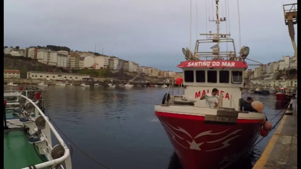 Barco no porto de Malpica