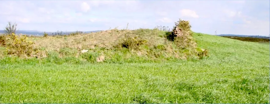 Mámoa de Os Calvetes 3 en Santa Comba-O Son da Curuxa