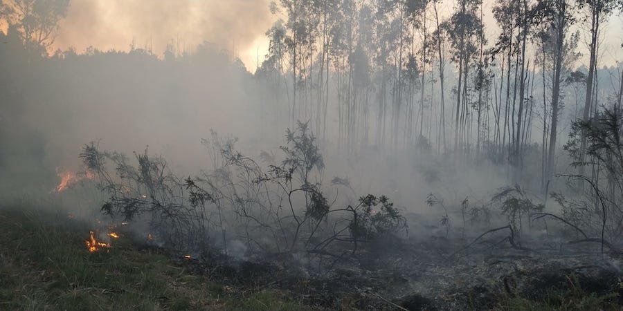Incendio en Montouto-Santa COmba