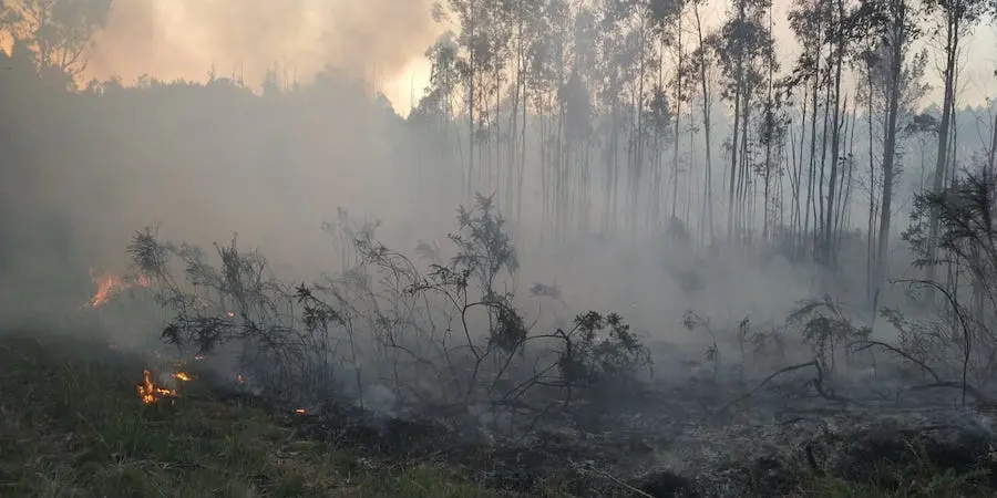 Incendio en Montouto-Santa COmba