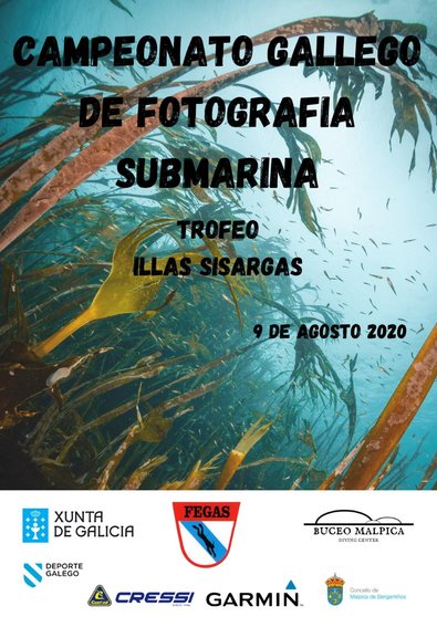 cartel campeonato galego de fotografía submarina malpica