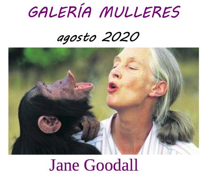 Jane Goodall na Galeria Mulleres de Muxia