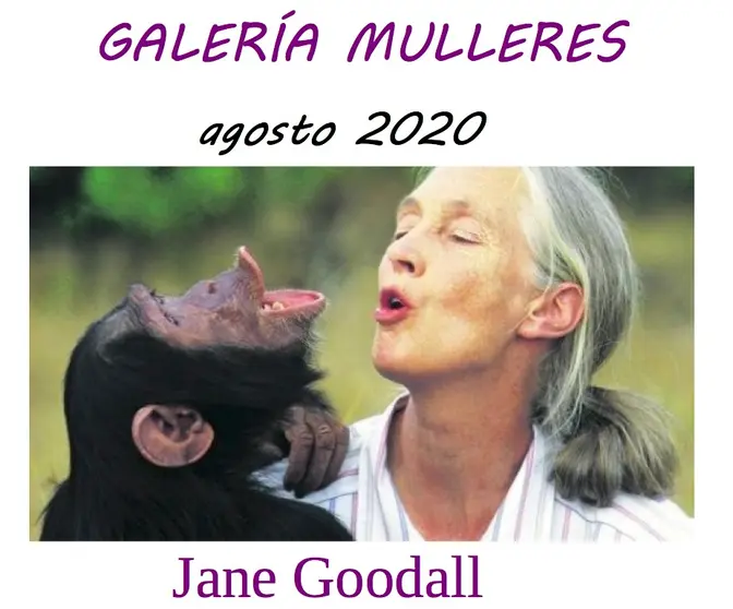 Jane Goodall na Galeria Mulleres de Muxia