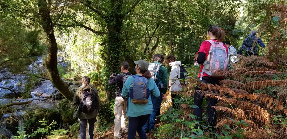 Primavera en Ruta de Senda Nova