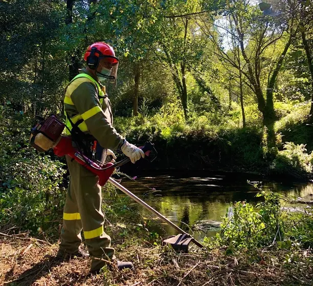 Brigadas prevencion de incendios no Anllons