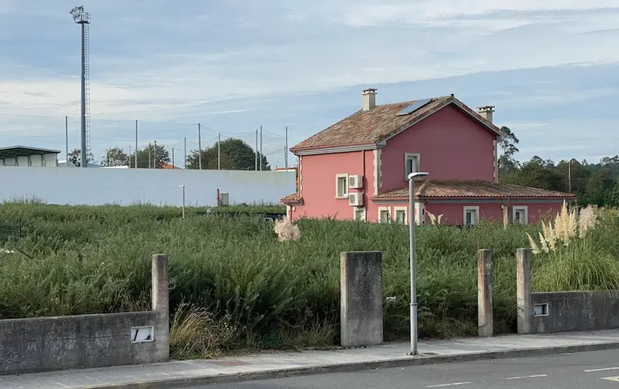 Parcela particular en Lestón sen xestionar a biomasa