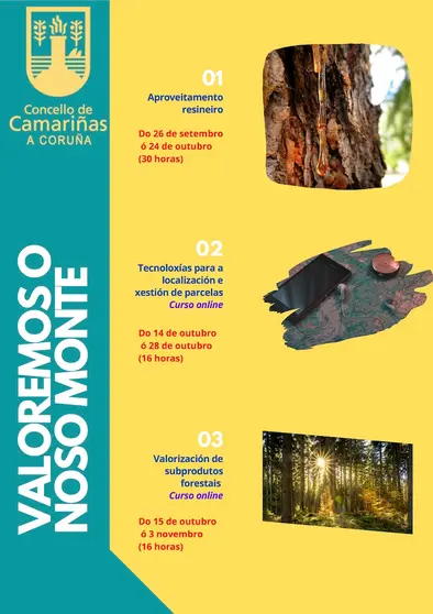 Actividades para a reactivación do monte en Camarinas