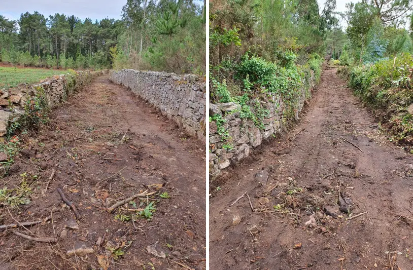 Recuperacion de caminos en Bainas e Cereixo