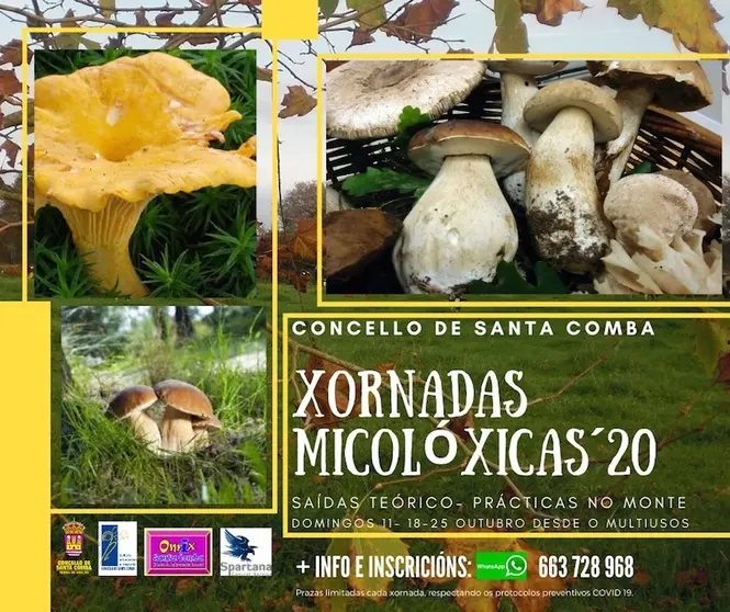 Xornadas Micoloxicas Santa Comba 2020