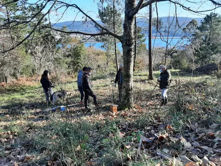 Reforestacion de Boca de SApo en Corcubion