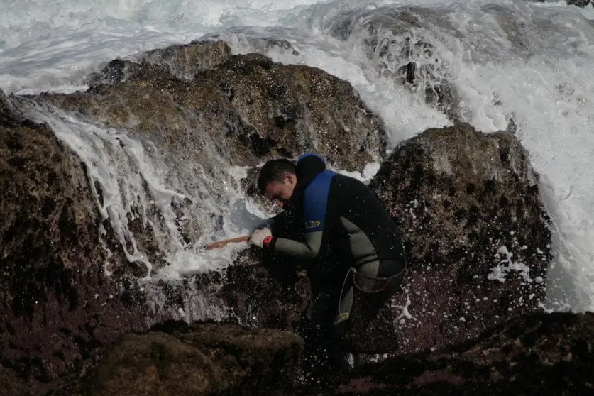 Percebeiros de Malpica