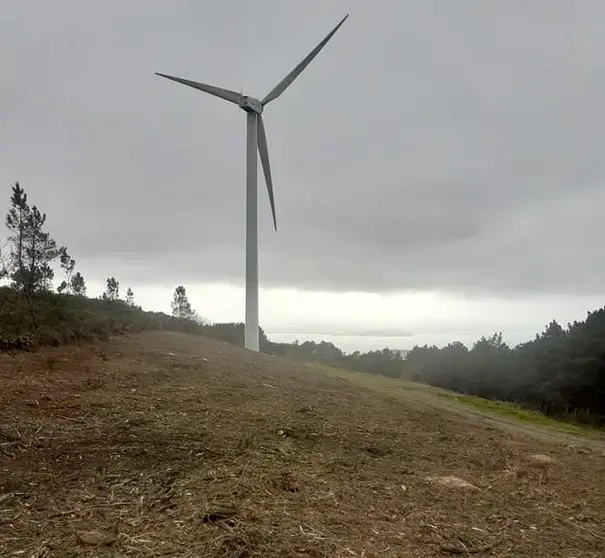 Monte vecinal de Esteiro