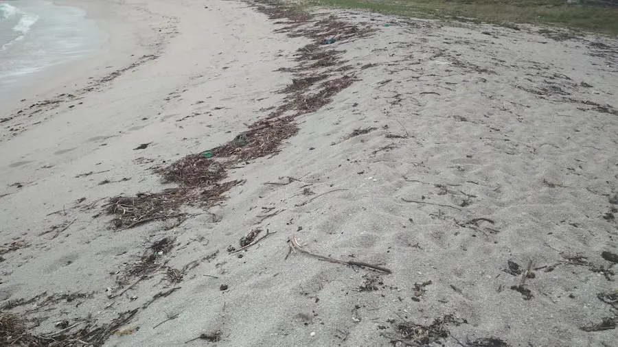 A praia do Lago necesita a tua axuda