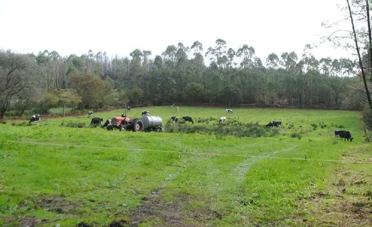 Zonas de gandeiria na Costa da orte