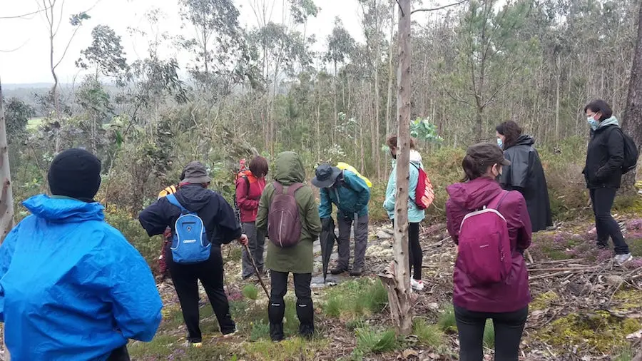 Ruta polas Mamoas de Cabana con Senda Nova