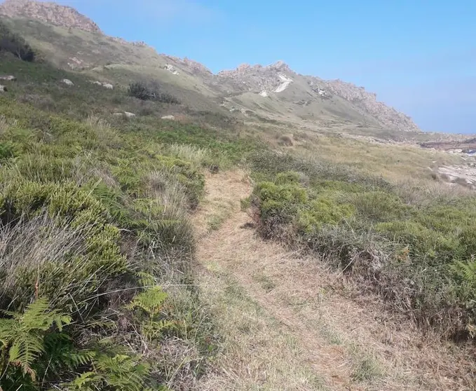 Limpeza Camino dos Faros Camarinas