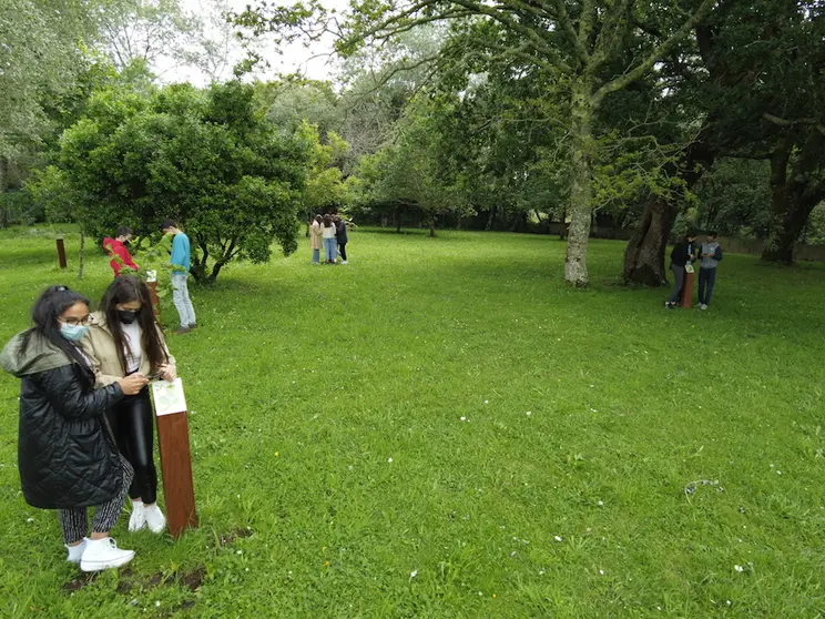 Bosque do IES de Baio