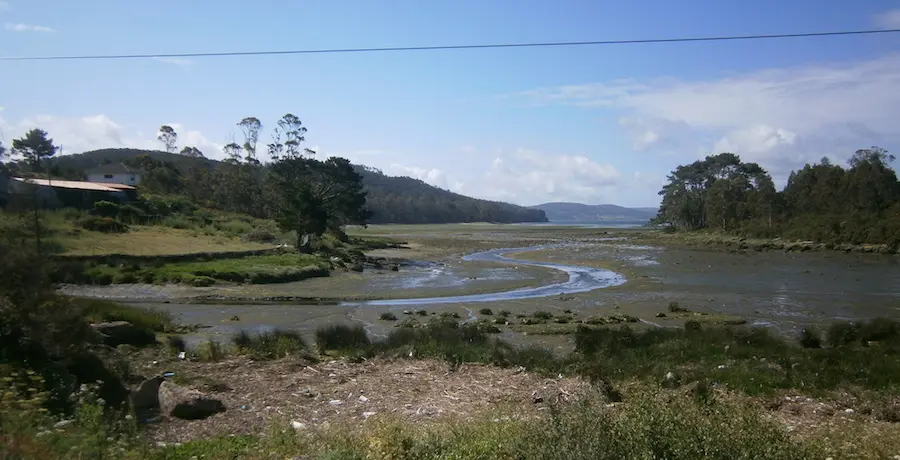 zona marisqueira da Vasa en Xavina Camarinas