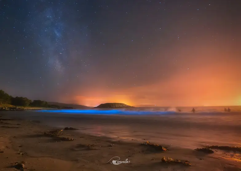 Mar de Ardora e Via Lactea na praia da Ermida-Foto-Drew Corme