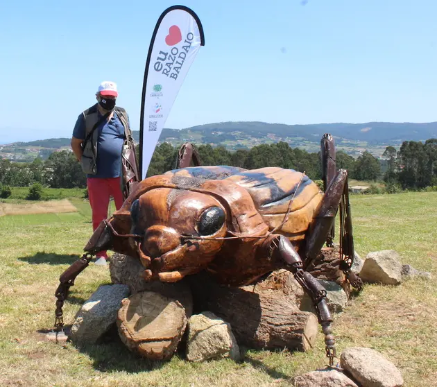 Escultura nebria_praias en Castrillon-Carballo