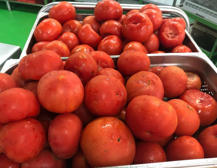 Tomates de proximidade nos Ecocomedores 