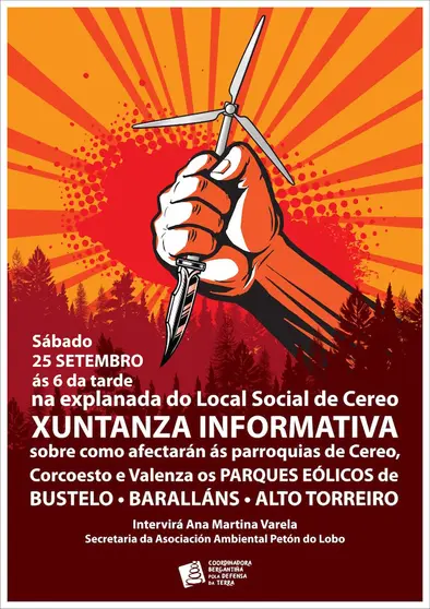 Xuntanza Informativa Eolicos Cereo