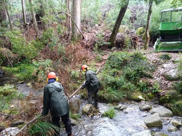 Limpeza de rios en Carnota