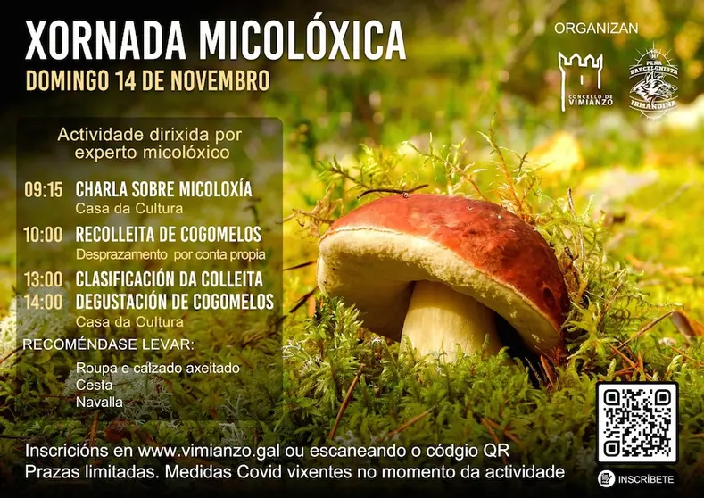 CARTAZ XORNADA MICOLÓXICA