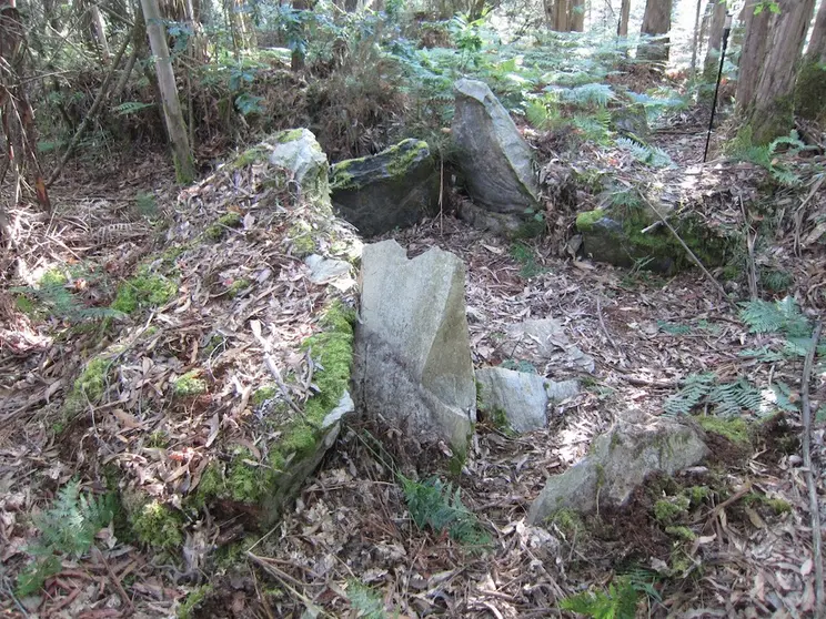 Dolmen Chan das Embarradas-Coristanco-Foto-Megaliticia