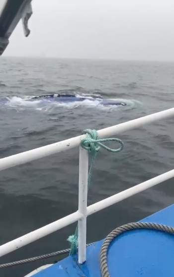 Rescatando o barco afundido no Cabo da Nasa