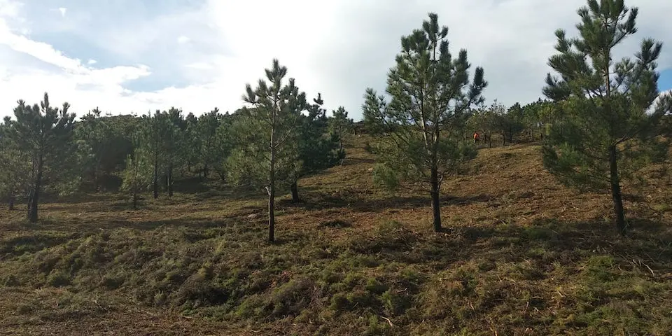 Prevencion incendios Camarinas