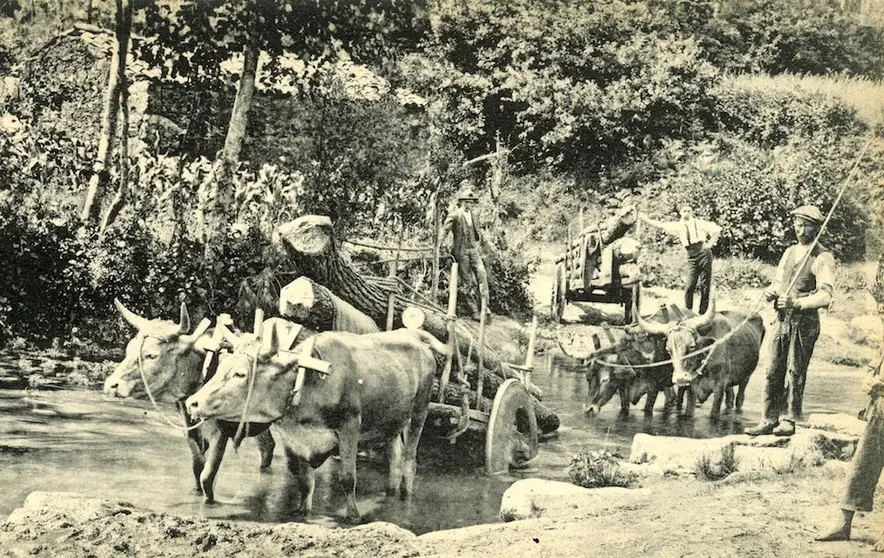 Carro de Vacas historia Mazaricos