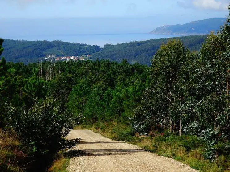 Vistas do Cabo Fisterra dende o Monte de Armada-FDoto-Xurdemoran