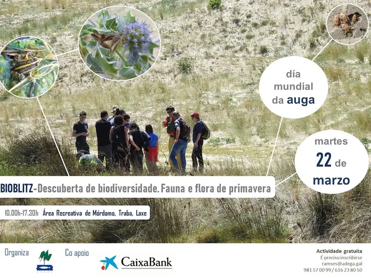 Cartaz Bioblitz_Traba_CaixaBank_DEF