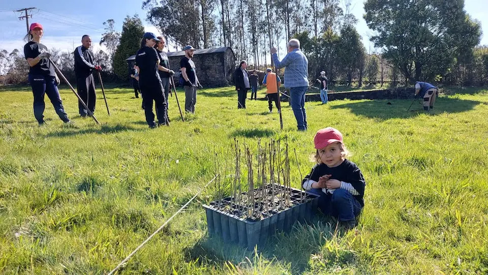 Comunidade de Montes de Grixoa-Esternande prantando Carballeira na Mina de Varilongo