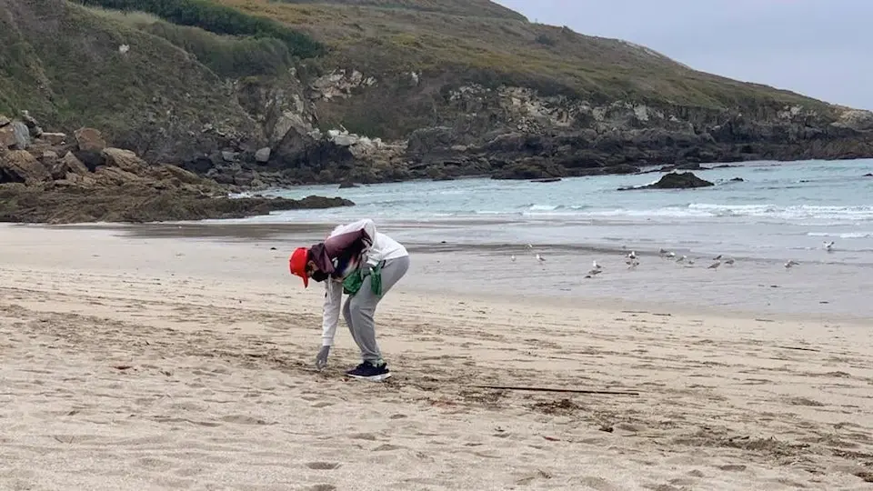 LImpando a praia de Seaia