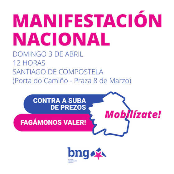 Manifestacion luz bng santiago 2022