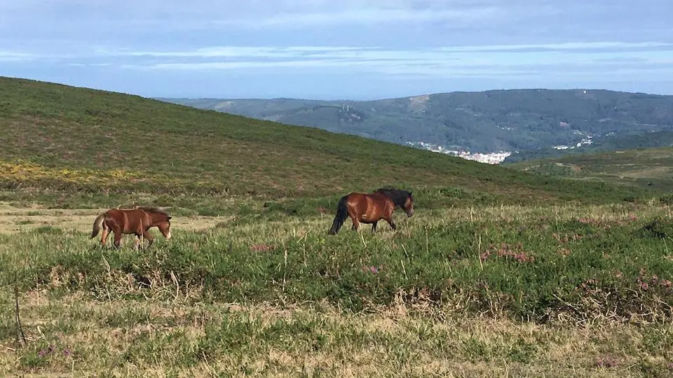 Natureza na Ameixenda