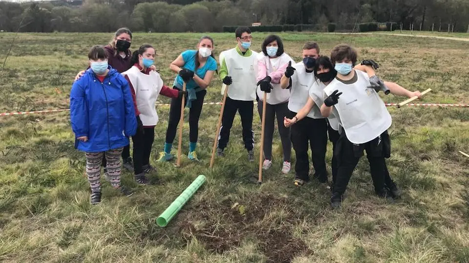 Reforestacion - Down Coruña - Ecofriendly