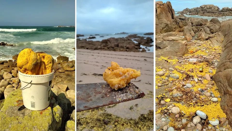 Vertido de graxa nas praias de Camarinas