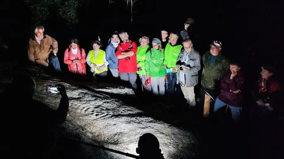 Ruta nocturna Petroglifos Vimianzo