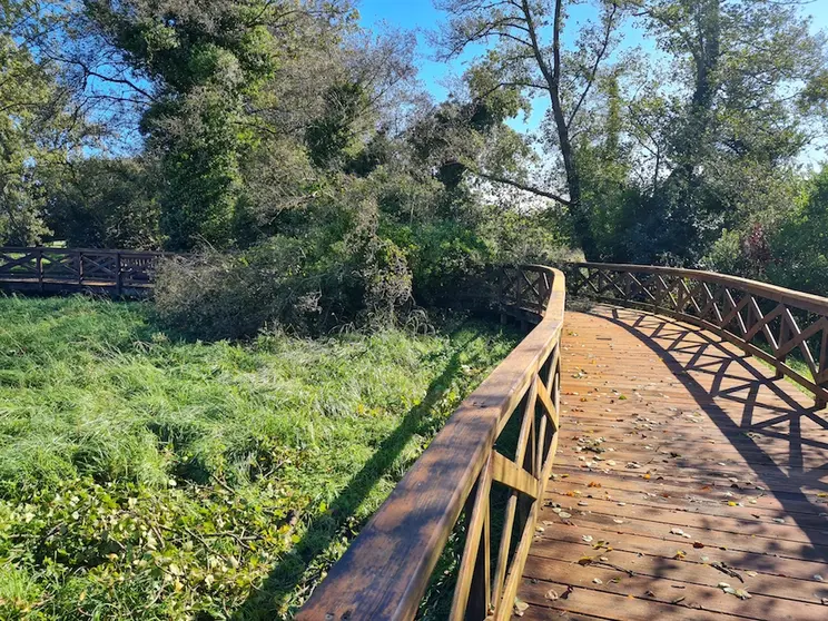 2022.10.19.- Paseo fluvial río Vilán