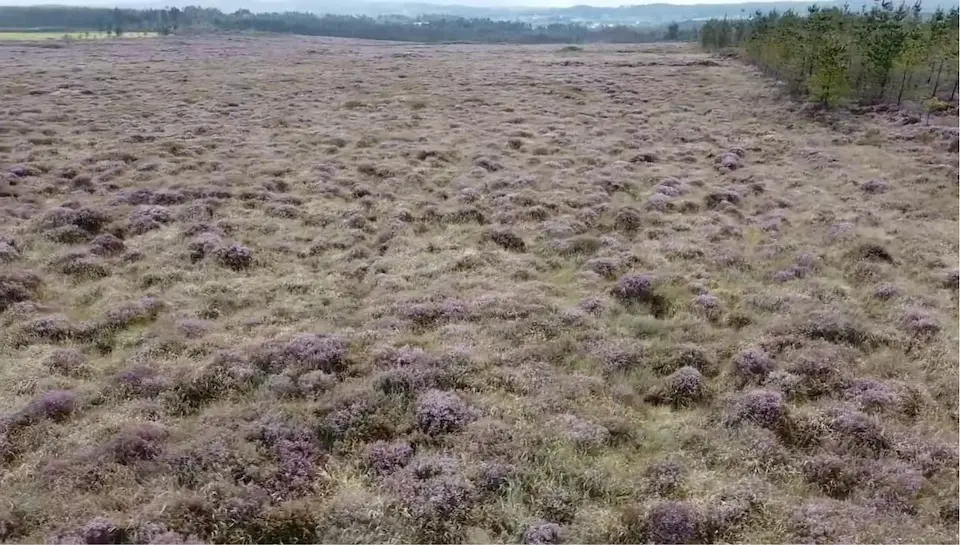 Brañas da Serra Castriz-Santa Comba