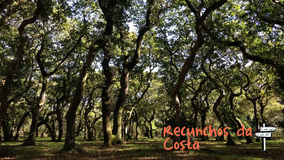 Recunchos da Costa-Carballeira de Baio